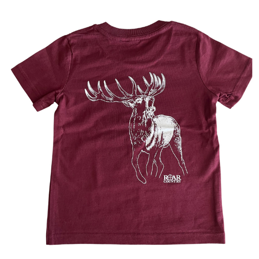 Maroon T-Shirt